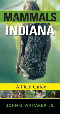 Book cover for Mammals of Indiana