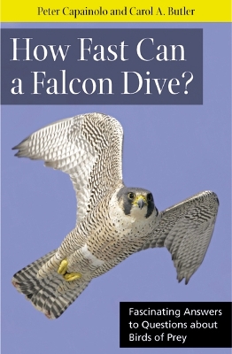 Cover of How Fast Can A Falcon Dive?