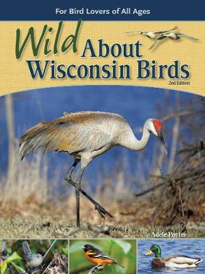 Book cover for Wild About Wisconsin Birds