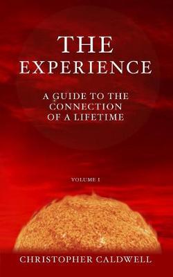 Book cover for The Experience