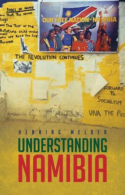 Book cover for Understanding Namibia