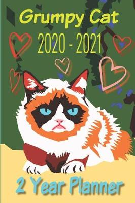 Book cover for Grumpy Cat 2020 - 2021 2 Year Planner