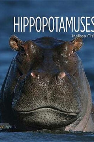 Cover of Hippopotamuses