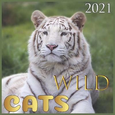 Book cover for WILD Cats