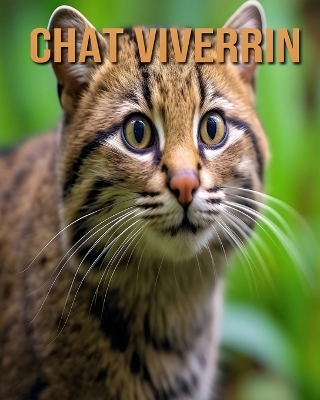 Book cover for Chat Viverrin