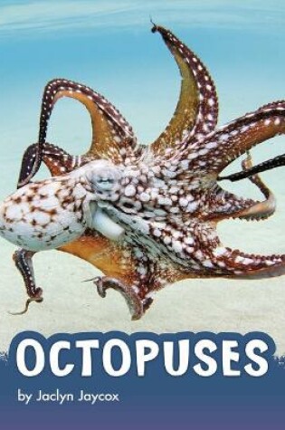 Cover of Octopuses