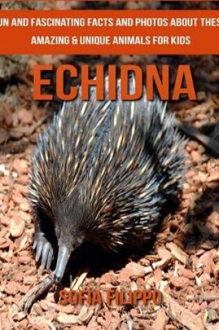 Cover of Echidna