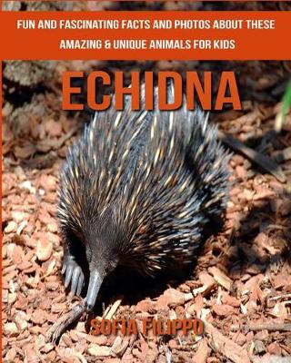 Book cover for Echidna