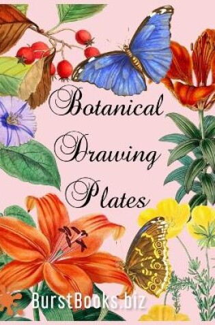 Cover of Botanical Drawing Plates