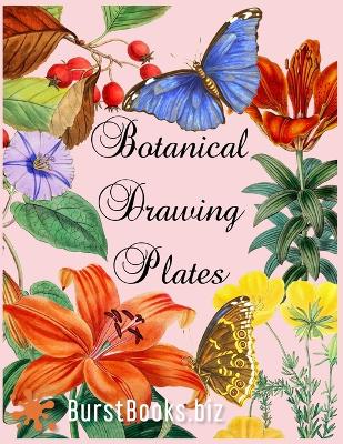 Book cover for Botanical Drawing Plates