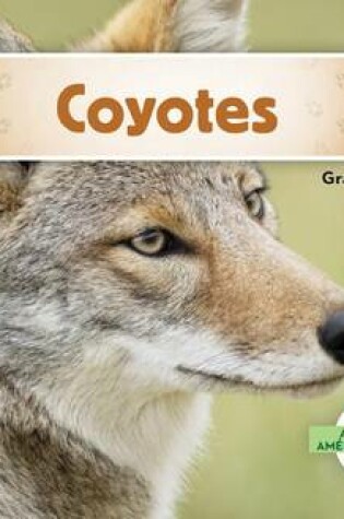 Cover of Coyotes (Coyotes)