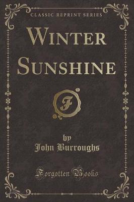 Book cover for Winter Sunshine (Classic Reprint)