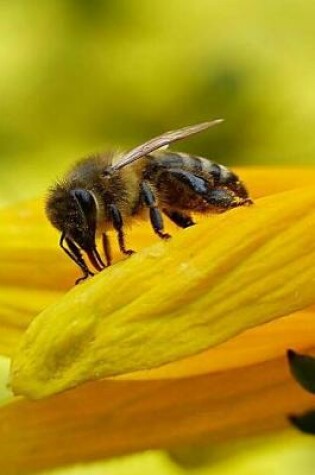 Cover of Honey Bee Notebook