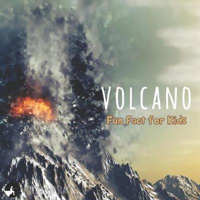 Book cover for Volcano Fun Fact for Kids
