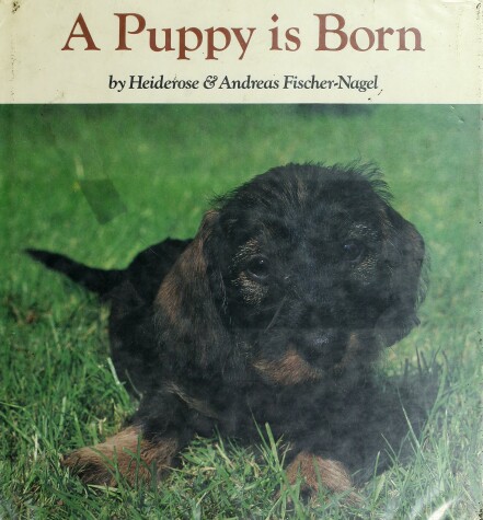 Book cover for A Puppy Is Born