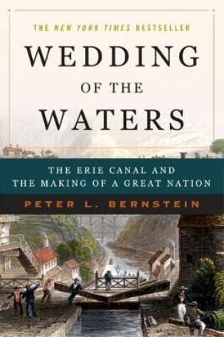 Cover of Wedding of the Waters