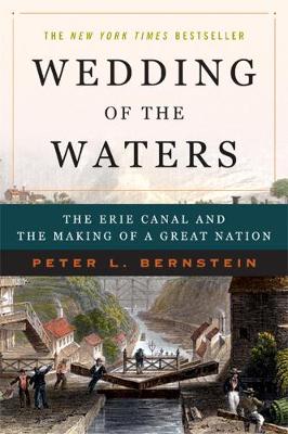 Book cover for Wedding of the Waters