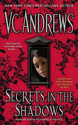 Book cover for Secrets In the Shadows