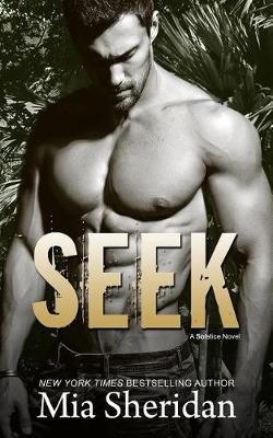 Book cover for Seek