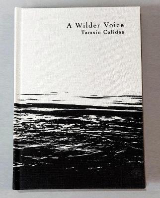 Book cover for A Wilder Voice