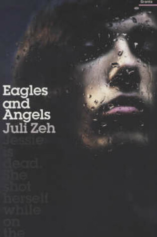 Cover of Eagles and Angels