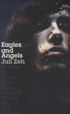 Book cover for Eagles and Angels