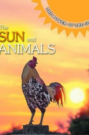 Cover of The Sun and Animals