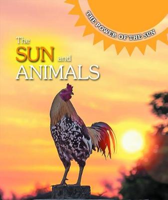Book cover for The Sun and Animals
