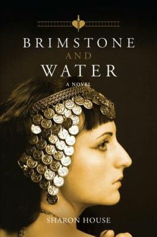 Cover of Brimstone and Water