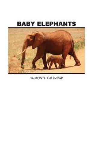 Cover of Baby Elephants Pocket Monthly Planner 2017