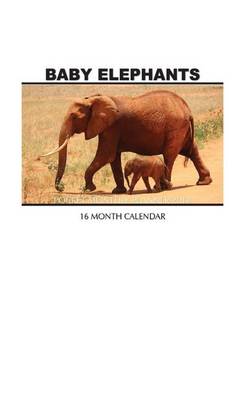 Book cover for Baby Elephants Pocket Monthly Planner 2017