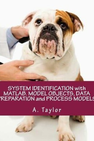 Cover of System Identification with Matlab. Model Objects, Data Preparation and Process Models