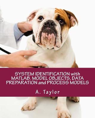 Book cover for System Identification with Matlab. Model Objects, Data Preparation and Process Models