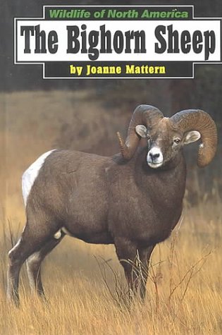 Cover of The Bighom Sheep