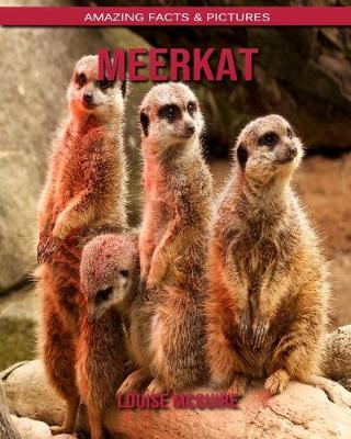 Book cover for Meerkat