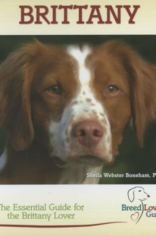Cover of Brittany (Breed Lover's Guide)
