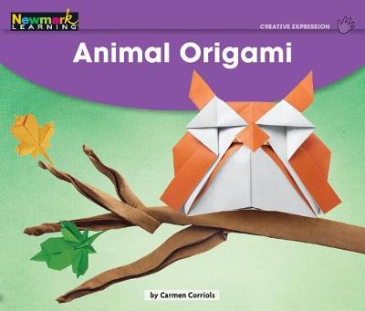 Book cover for Animal Origami Leveled Text