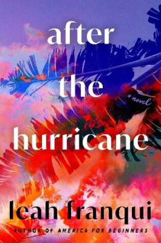 Cover of After the Hurricane