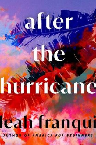 Cover of After the Hurricane