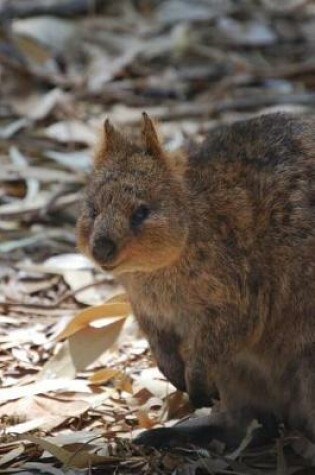 Cover of Cute Little Quokka in the Australia Outback Journal