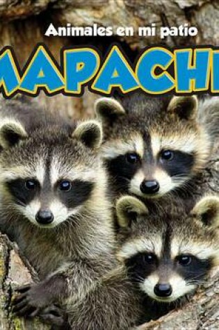 Cover of Mapaches, With Code