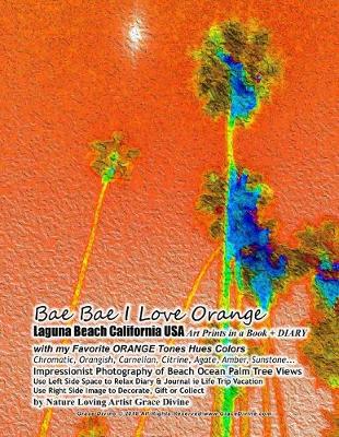 Book cover for Bae Bae I Love Orange Laguna Beach California USA Art Prints in a Book + DIARY with my Favorite ORANGE Tones Hues Colors Chromatic, Orangish, Carnelian, Citrine, Agate, Amber, Sunstone... Impressionist Photography of Beach Ocean Palm Tree Views