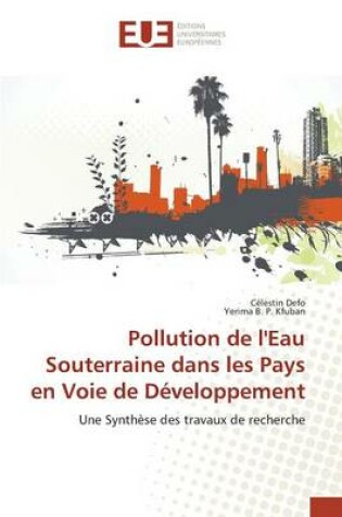 Cover of Pollution de l'Eau Souterraine Dans Les Pays En Voie de Developpement