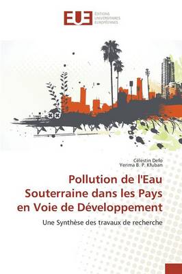 Book cover for Pollution de l'Eau Souterraine Dans Les Pays En Voie de Developpement