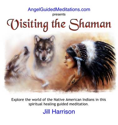 Book cover for Visiting the Shaman