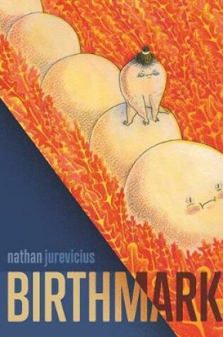 Cover of Birthmark