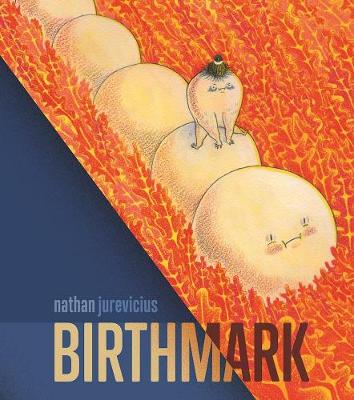 Book cover for Birthmark