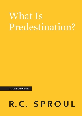 Book cover for What is Predestination?