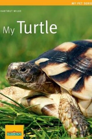 Cover of My Turtle