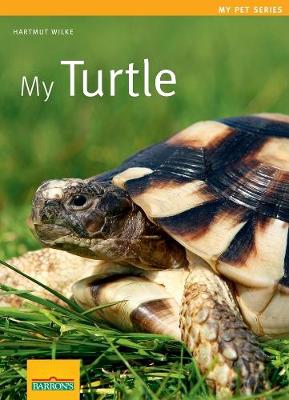 Book cover for My Turtle